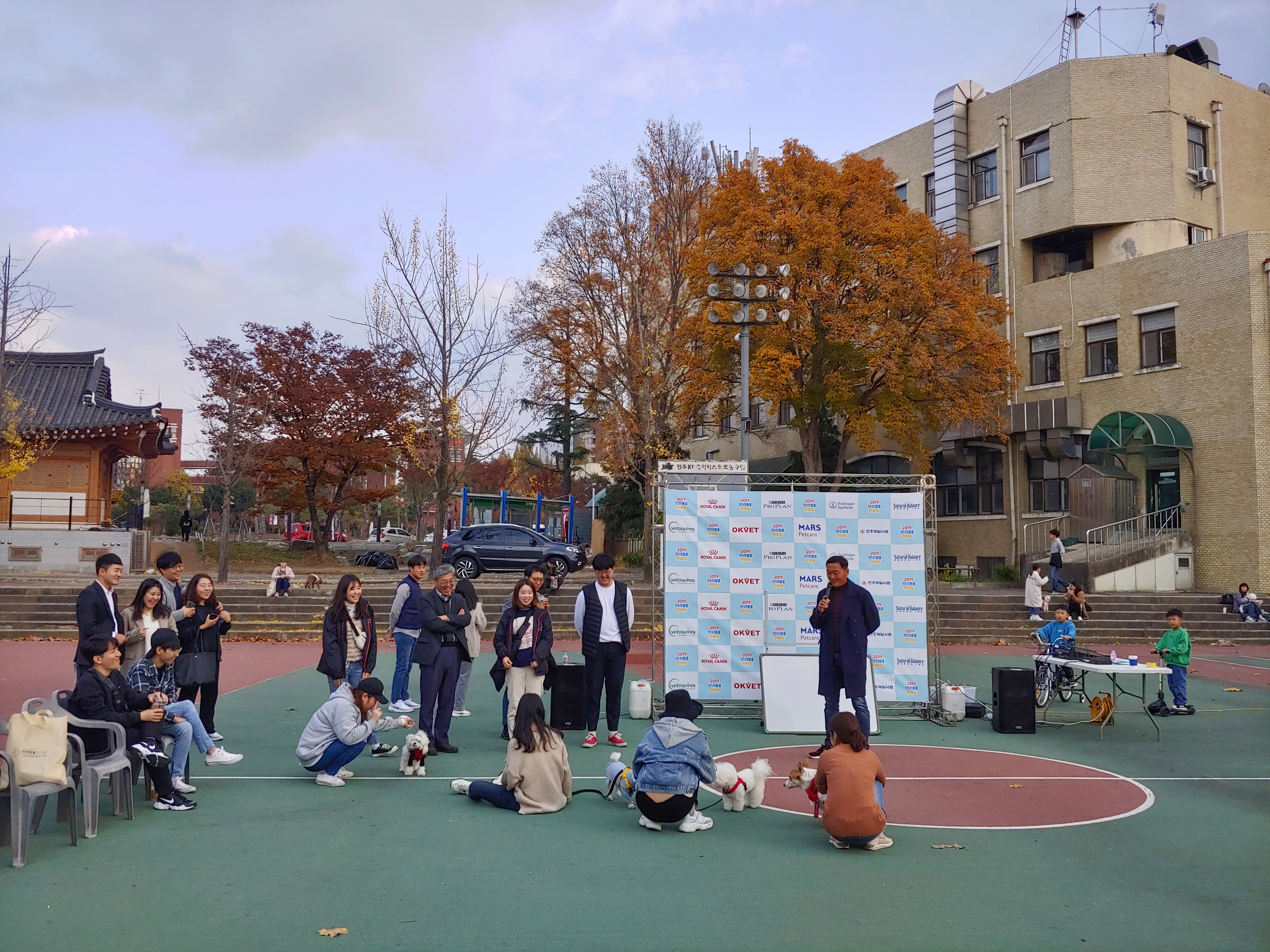 2019 반려동물한마당1 2번째 첨부파일 이미지