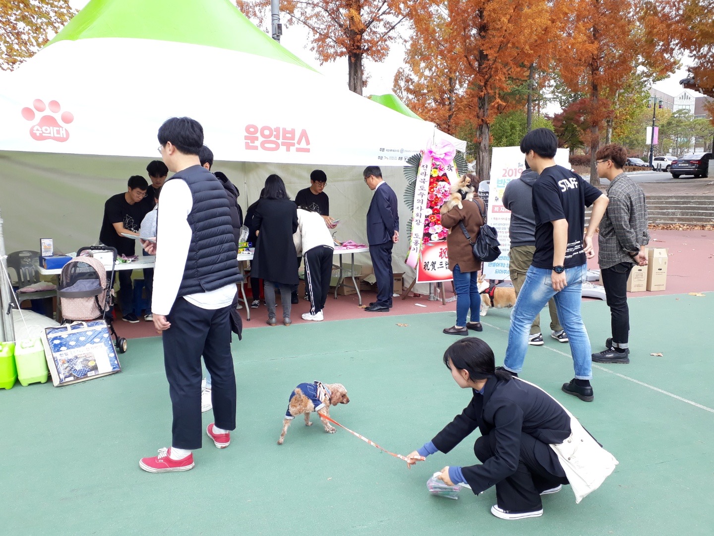 2019 반려동물한마당2 1번째 첨부파일 이미지