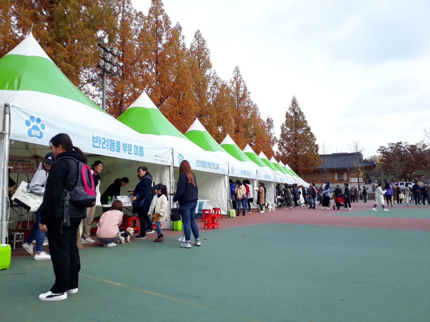 2019 반려동물한마당2 4번째 첨부파일 이미지