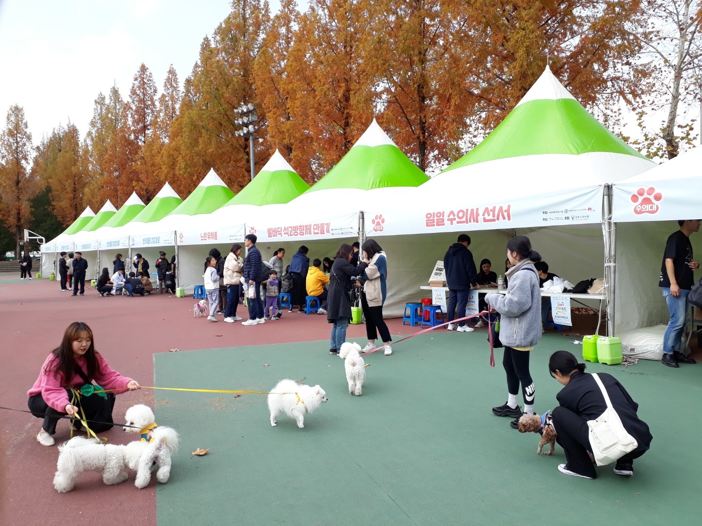 2019 반려동물한마당3 4번째 첨부파일 이미지